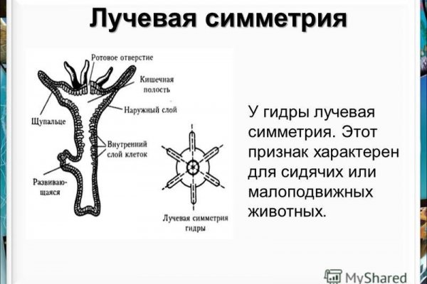 Кракен лучший маркетплейс