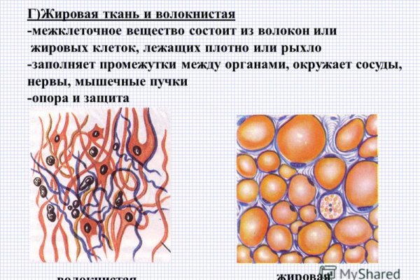 Kraken darknet onion