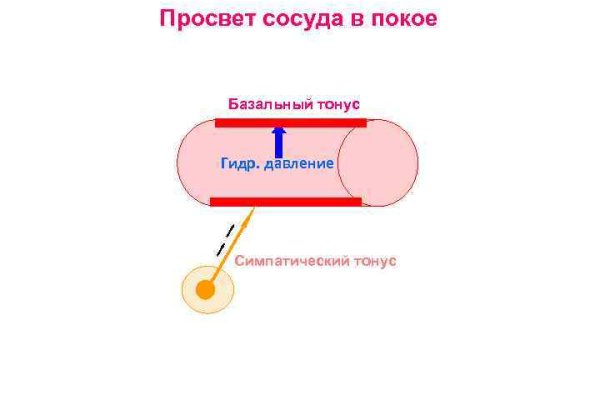 Кракен не работает